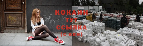 твердый Горняк