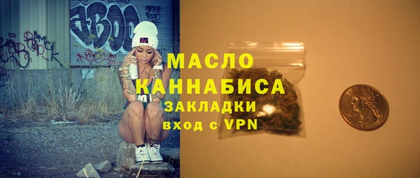 твердый Горняк