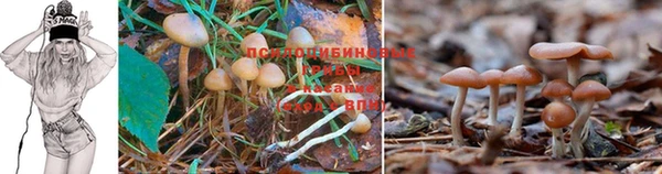 мдма Горнозаводск