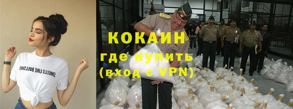 твердый Горняк