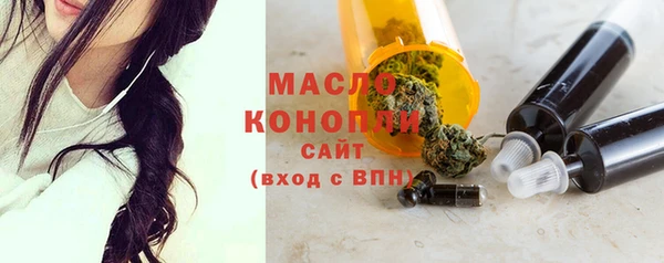 твердый Горняк