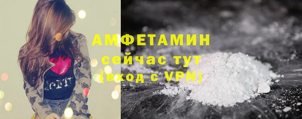 твердый Горняк