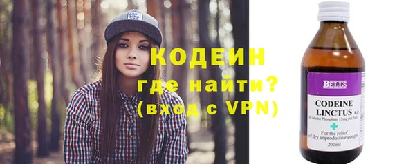 твердый Горняк