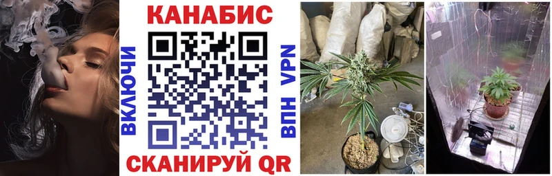 Бошки Шишки SATIVA & INDICA  Сочи 